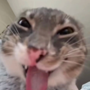 你的城市又下雨