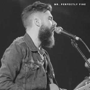 Mr. Perfectly Fine