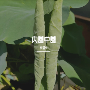 内卷中卷