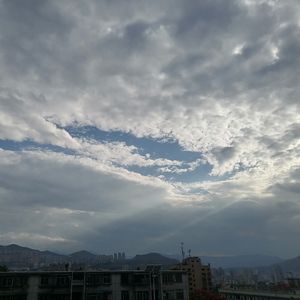 有关一个戛然而止的夏天