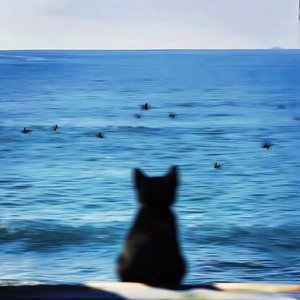 《流星谜题》