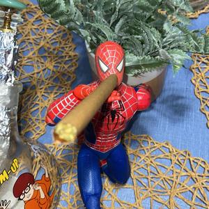 Moonlight (feat. Sekunda)