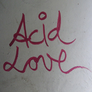 Acid Liner
