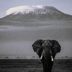 boom 半成品 2.wav