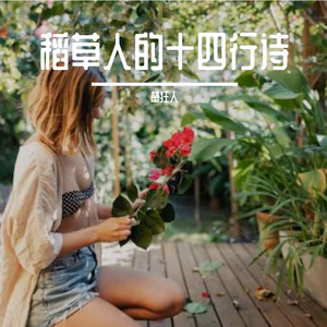 稻草人的十四行诗