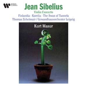 Violin Concerto in D Minor, Op. 47:I. Allegro moderato