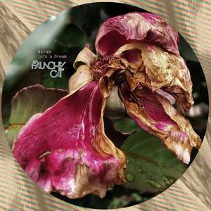 Dreaming Into A Dream