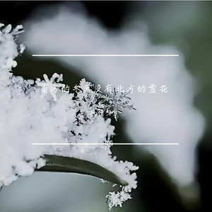 南方的冬天没有北方的雪花