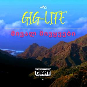 მივალ მივყვები