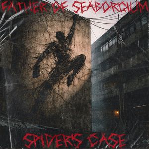 SPIDER'S CASE