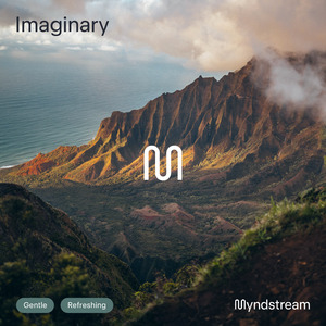 Imaginary