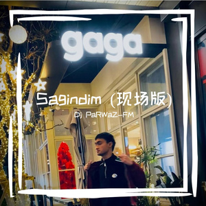 Sagindim(现场版)