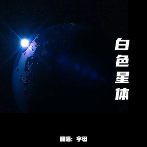 白色星体
