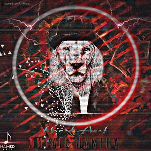 Angale Jameha