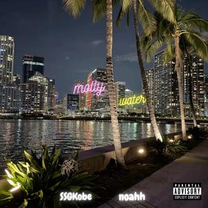 molly water (feat. Ko)