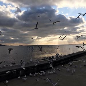 失控(DJ是个七七.Remix)