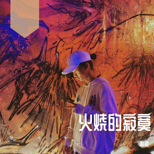 火烧的寂寞