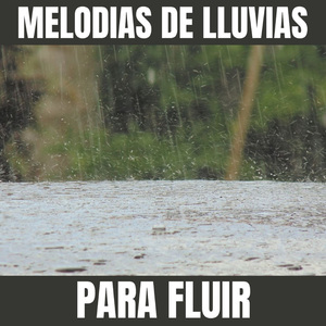 Lluvia Sonido