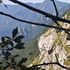 思故虞人断忘佳事