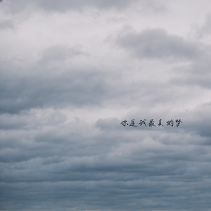 你是我最真的梦