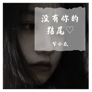 没有你的结尾DJ版