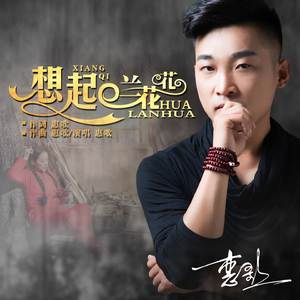想起兰花花（DJ版）