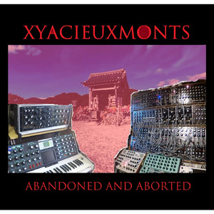 Abandoned ＆ Aborted - A side