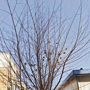 你走向远方而我在等你