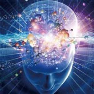 东京的烟火- 谢汶桦粤语