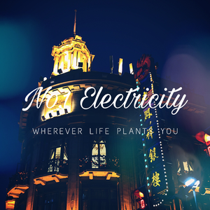 No.1 Electricity (DJ Mr.ResCo Remix)