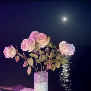 星光不问赶路人，时光不负有心人