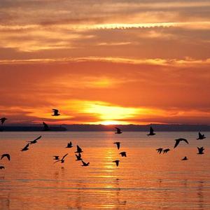 Before we cross the wall