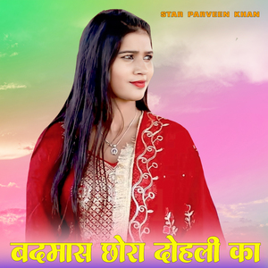 बदमाश छोरा दोहोली का