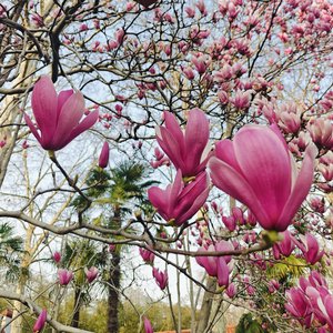 生命存在的意义