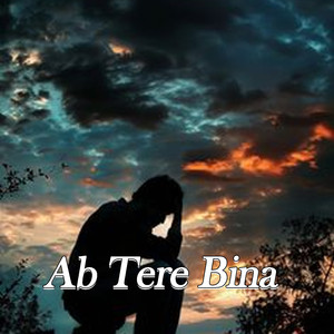 Ab Tere Bina
