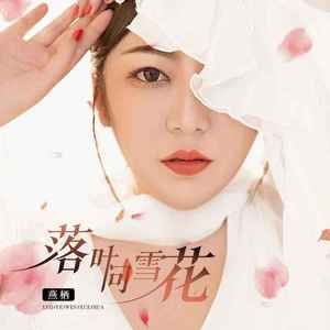 落叶问雪花 (伴奏)