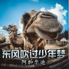 聚散无常 别来无恙