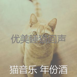 温和小猫梦想