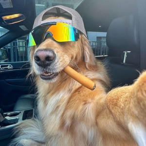 Eu Duvido Tu Aguentar Uma Dessas Vs Pula Pula Trepa Trepa