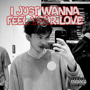 I Just Wanna Feel Your Love