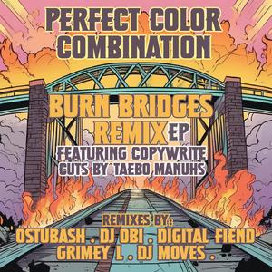 Burn Bridges (feat. Copywrite, Taebo Manuhs & DJ Moves) (DJ Moves Remix)