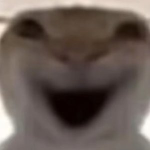 堵桥之音