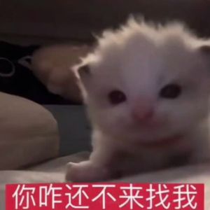 不可战胜的夏天