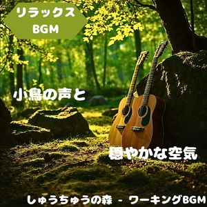 「リラックスBGM」湖に広がる安音