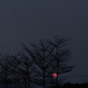 你离开了南京 从此没有人和我说话