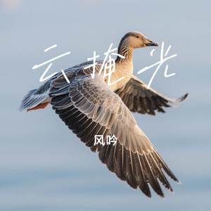 云掩光