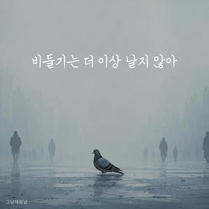 비둘기는 더 이상 날지 않아