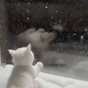 天空之外（咚鼓版）