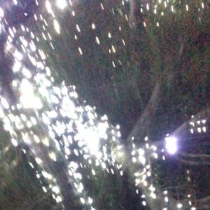 look away (feat. IMSOS & BMW)