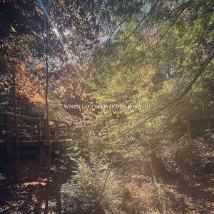 WHEN I SETTLED DOWN FOR YOU